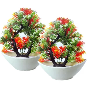 Bonsai Decorative Plants