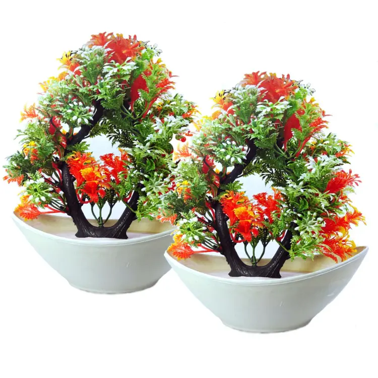 Bonsai Decorative Plants