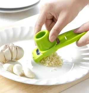 Garlic Ginger Grinding Tools