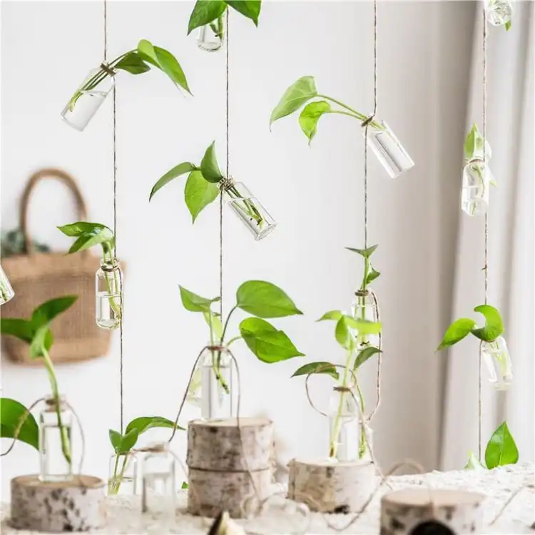 Set of 8 Rope Small Hanging Glass Plants Vases Small Hanging Vases Home Decor Housewarming Gift