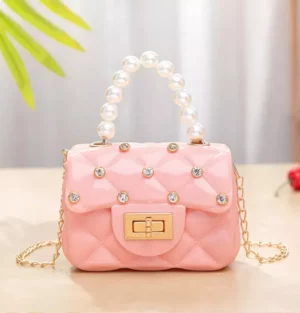 Mini Bag Stylish