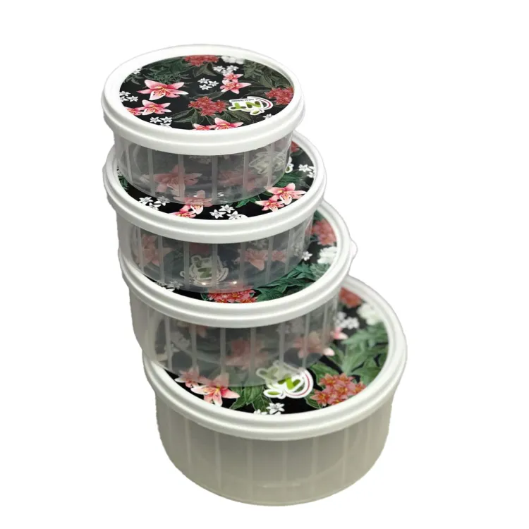 4 Piece Airtight Plastic Container Set for Kitchen Storage