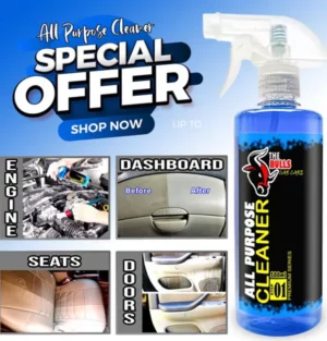 Car Interior Cleaning Solution