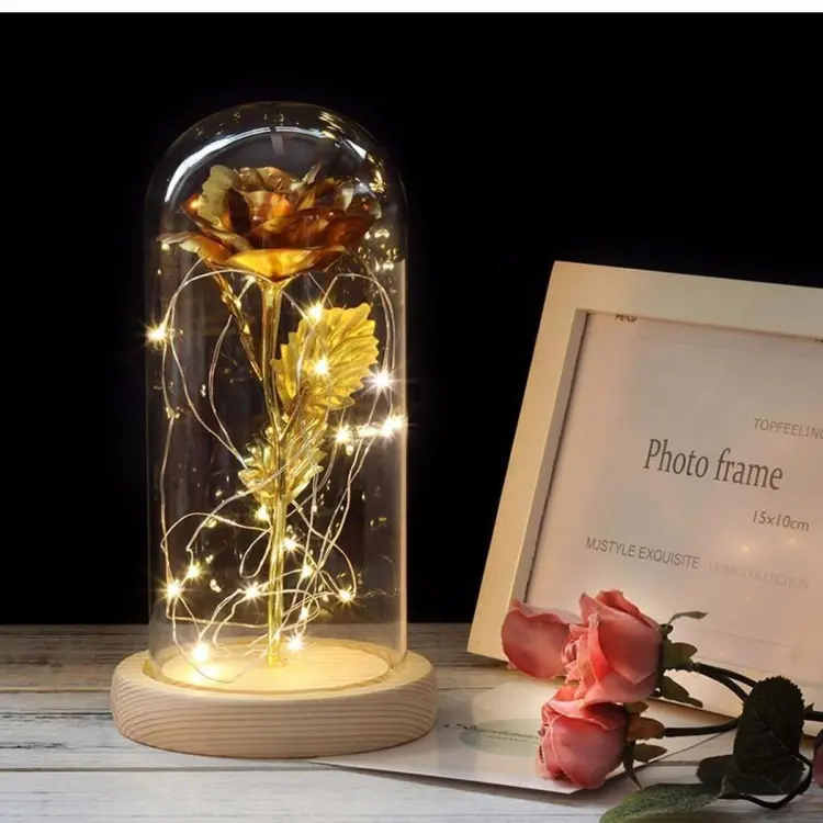 ROSE Glass Dome Table Lamp Gifts for Women Mothers Day Birthday Anniversary