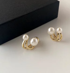 Fashion Hoop Earrings