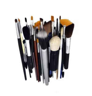 Makeup Brushes