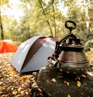 Pressure Cooker Afghani