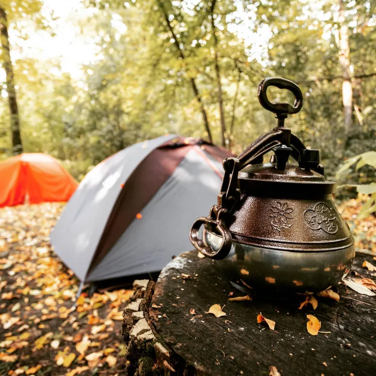 Pressure Cooker Afghani Brown color Safety Value 5 8 and 10 Liters