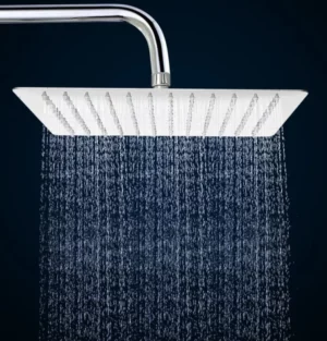 Shower Stainless Steel