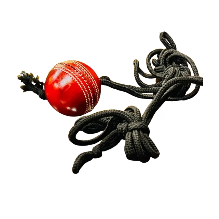 Hanging Strike Hard Ball and Practice Hard Ball